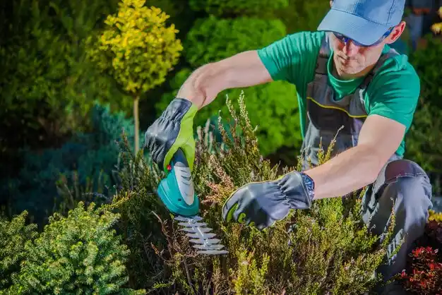 landscaping services Clark Mills